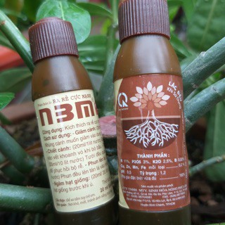 Phân bón Ra rễ N3M dạng nước 20ml