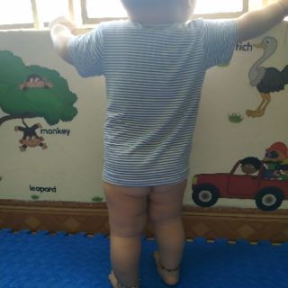 decal dán tường từ vựng con vật