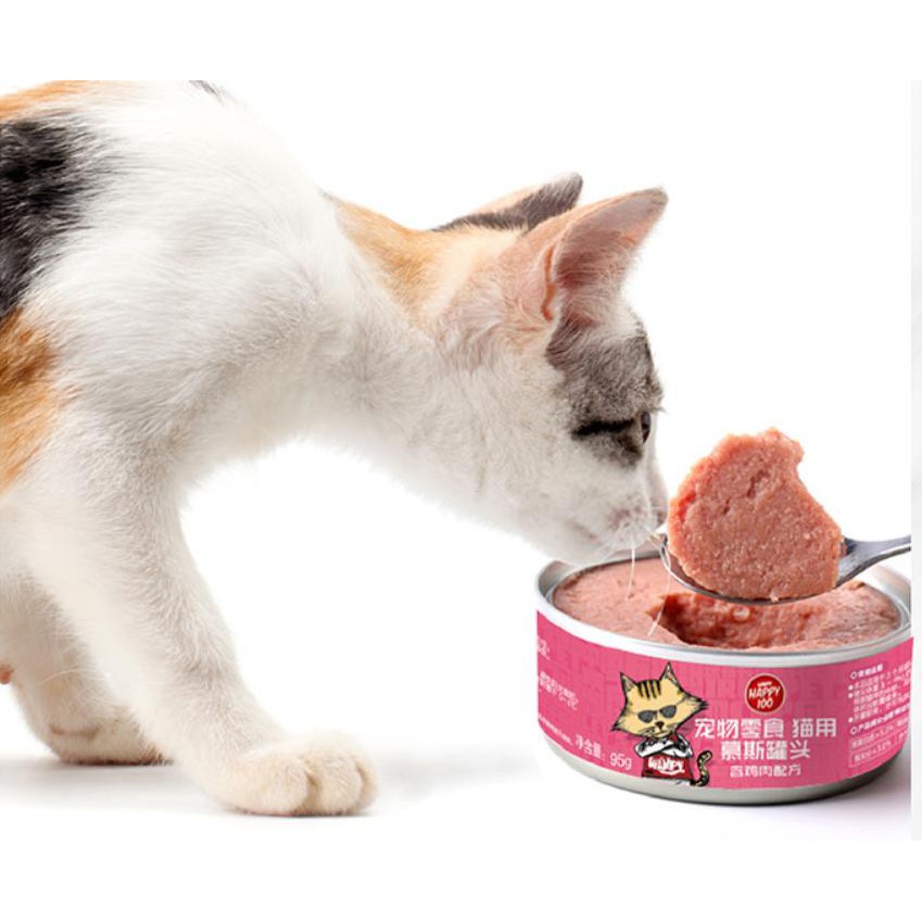 Pate Wanpy Bò Gà Cá Ngừ Xay Mịn Hộp 95gr Dùng Cho Mèo Bé,Lớn