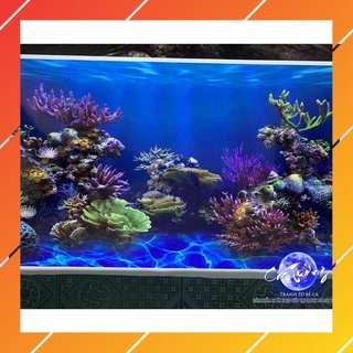 tranh 3d. tranh dán bể cá thủy sinh, bể cá rồng (tranh lưng)