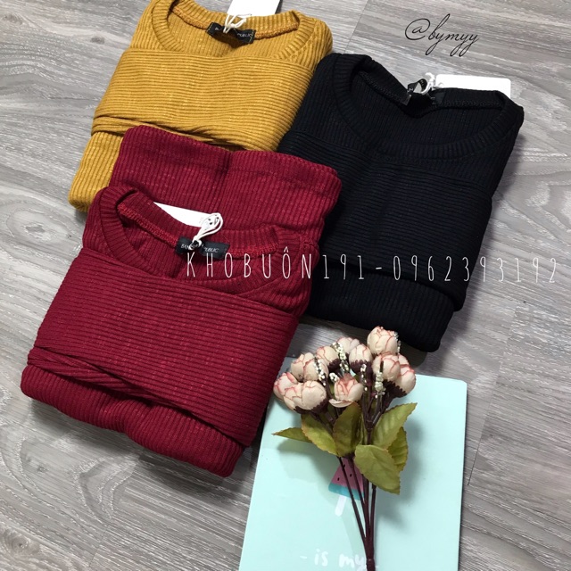 Đầm Body Nữ - Váy Body Cổ Tròn Tay Dài Xẻ Đùi - Loại 1m - DZ04