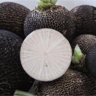 Hạt giống Củ cải đen