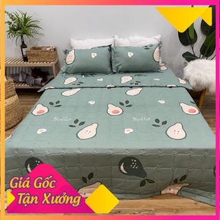 Bộ chăn hè trần bông ga gối 5 món poly cotton hàng loại 1  ( mẫu bơ xanh nhạt )