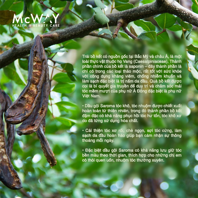DẦU GỘI BỒ KẾT SAROMA - DÀNH CHO TÓC KHÔ TÓC NHUỘM 700ML | BigBuy360 - bigbuy360.vn