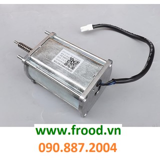 Động cơ từ Brushless phát điện 20w