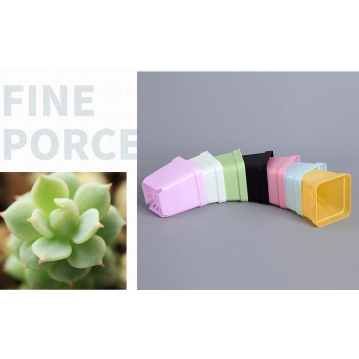 CVPPM7L3 - 50 chậu vuông trồng sen đá bonsai xương rồng có 7 màu chọn 7x7x7,5cm