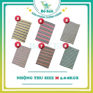Nhộng chũn cocoon