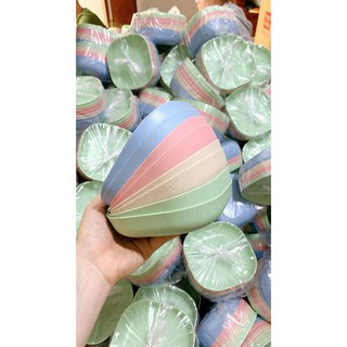 Set 8 Đĩa nhựa lúa mạch vuông, đĩa đựng bánh kẹo, đĩa vuông nhỏ nhiều màu, dĩa nông, dĩa sâu