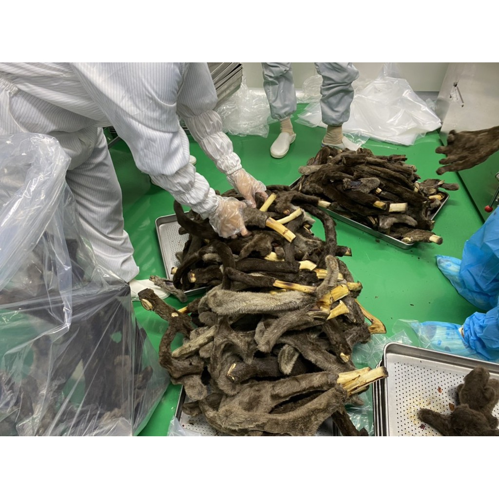 Nhung hươu Nga khô thái lát sẵn- Bổ thận- sinh tinh- Chống suy nhược cơ thể | BigBuy360 - bigbuy360.vn