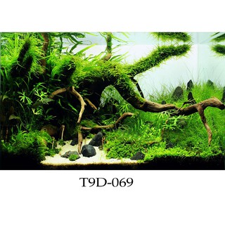 Tranh 3D bể cá mã T9D-069 kt (60,80,90,100,1m2,1m5,1m6)