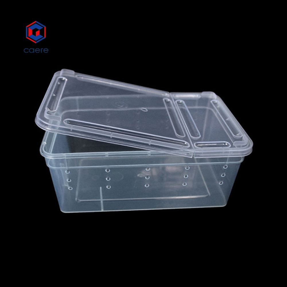 |Kỹ Thuật| Hộp Đựng Thức Ăn Cho Thú Cưng Bò Sát Bằng Nhựa Trong Suốt
