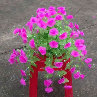 Hoa giấy lụa