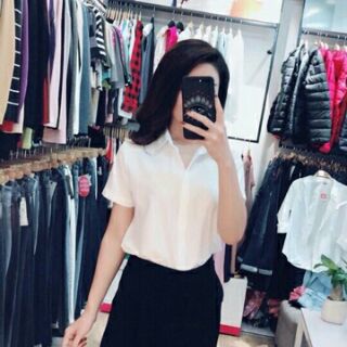 Áo sơ mi cộc tay (e Hói)