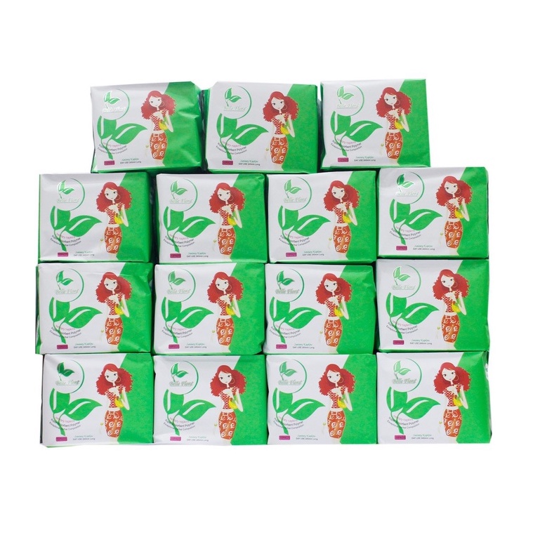 Bộ BVS bang ngày lưới BELLE FLORA 15 gói