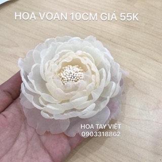 Hoa voan nhụy bó