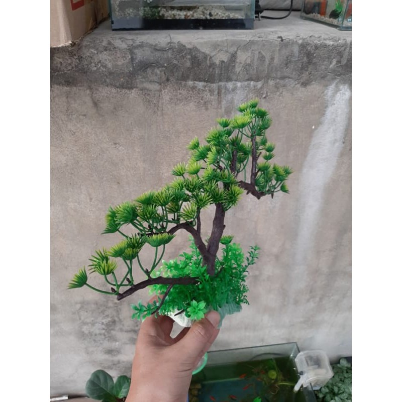 Cây nhựa trang trí bể cá: Mẫu bonsai