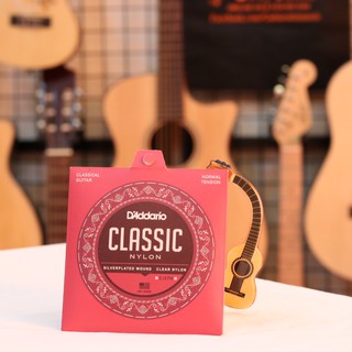 Dây Đàn Guitar Classic D'Addario EJ45 , EJ46,EJ27,EJ49...