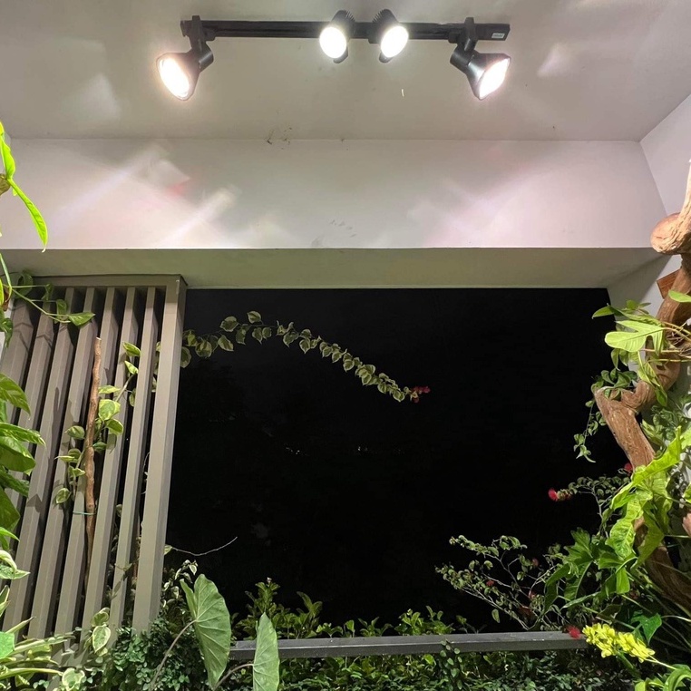 Đèn Trồng Cây Spotlight Thân Dài LGL 20W, Ánh Sáng Nắng Sớm Kích Thích Ra Ở Chồi Kiểng Lá & Ra Mầm Ở Cây Hoa, Sen Đá