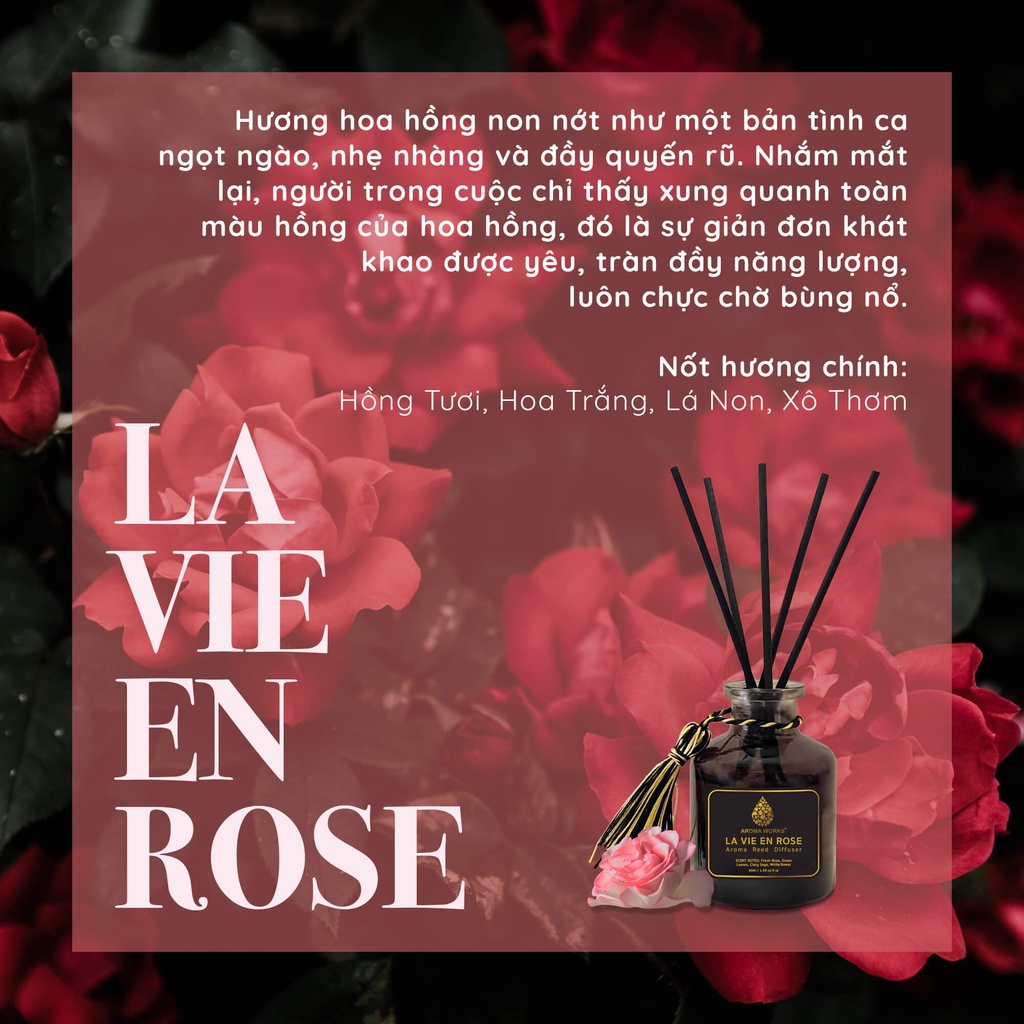 Tnh Dầu Thơm Phòng Tán Hương Que Mây Aroma Works Reed Diffuser