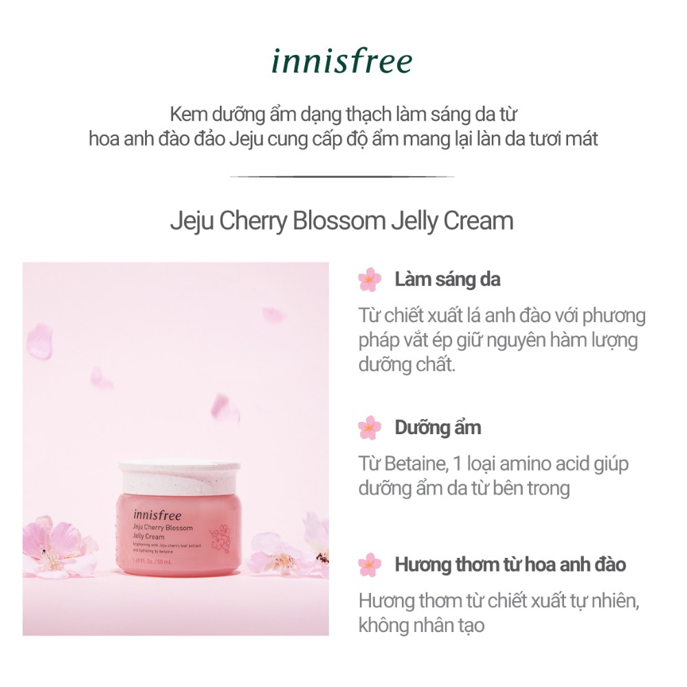 Gel dưỡng ẩm sáng da từ hoa anh đào đảo Jeju innisfree Cherry Blossom Jelly Cream 50ml | BigBuy360 - bigbuy360.vn