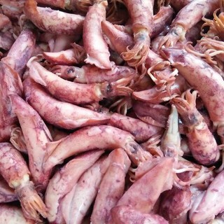 [ 500Gram ] Mực Trứng Hấp | Mực Muối ( Size trung )