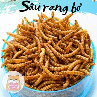 Sâu rang bơ | Thức ăn cho Hamster - size trung