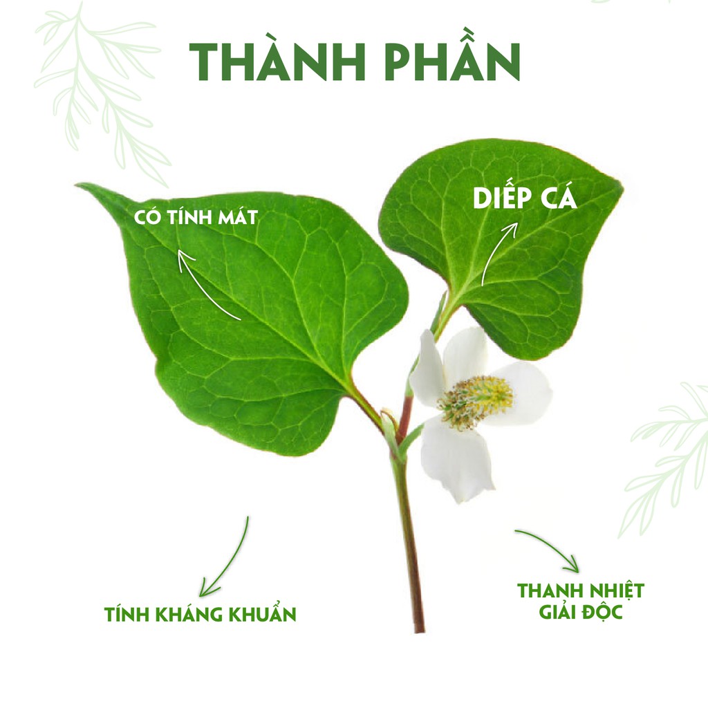 Xà bông cục diếp cá, sả chanh sạch mụn PK cao cấp - 75g | BigBuy360 - bigbuy360.vn