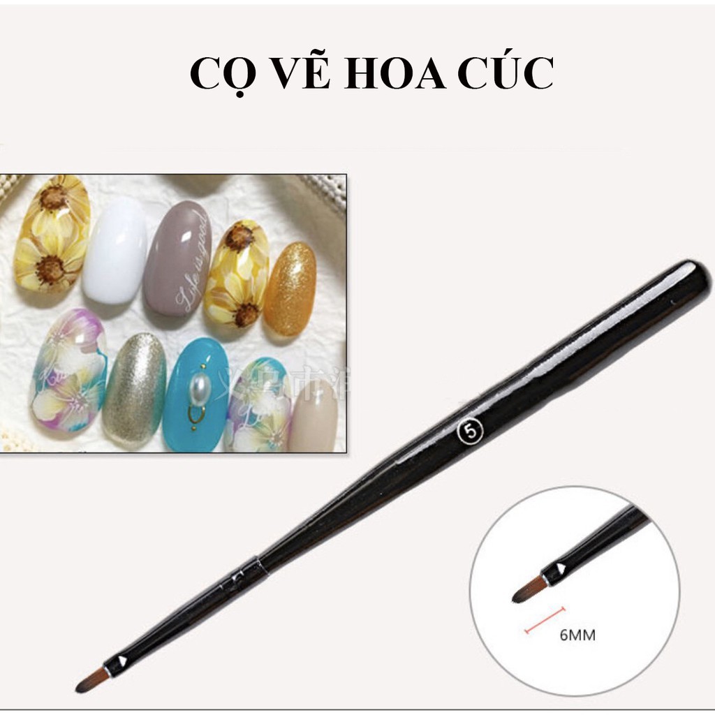 Cọ hoa cuc