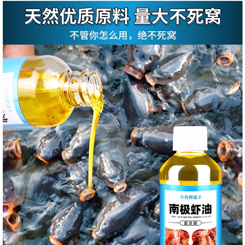 Mồi Câu Cá - Tinh Dầu Tôm Nam Cực - Nhập Khẩu Đài Loan