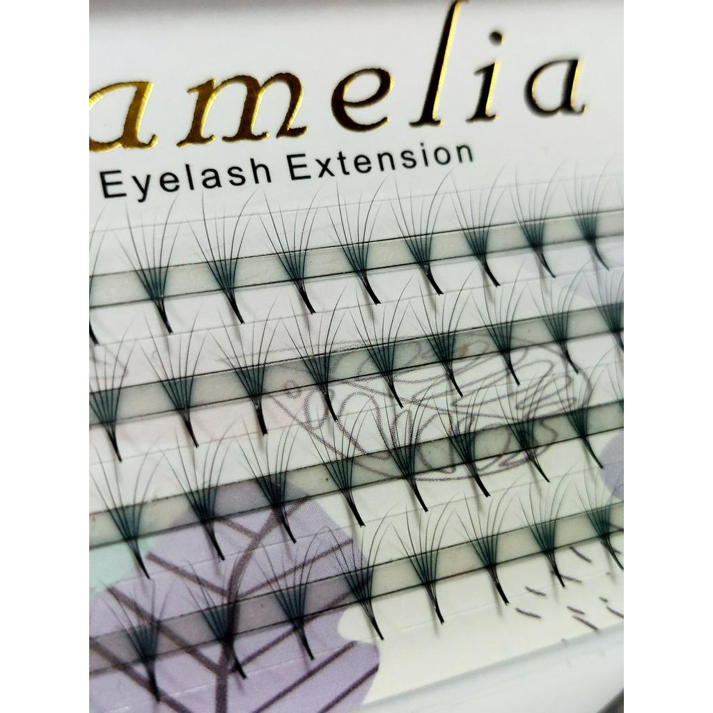 Fan 6D Mi Hoa Sơn Trà