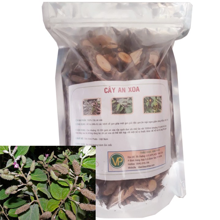Cây An Xoa Bình Phước - Dược Liệu Bình Phước | BigBuy360 - bigbuy360.vn