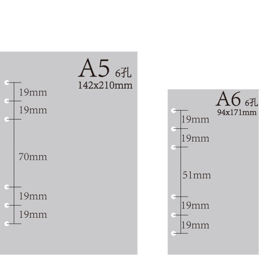 Giấy refill 6 lỗ cao cấp A5/A6/B5/A4