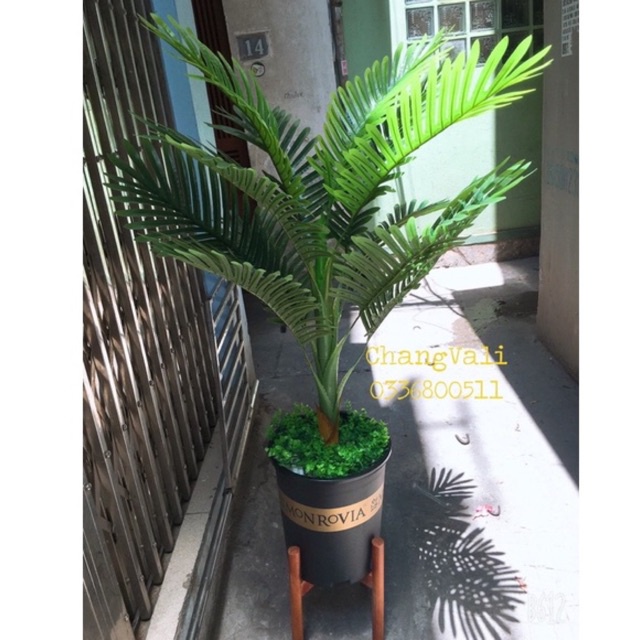 Cây dừa giả-Cao 1m -decor trang trí nội thất siêu xinh