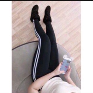 Quần legging 2 sọc