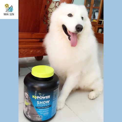 Bột dinh dưỡng cho chó K9 POWER Show Stopper Healthy Coat &amp; Skin 3.6kg