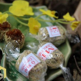 Ô Mai me Cam Thảo