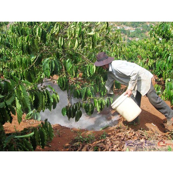 Tinh vôi 98 bột siêu sát khuẩn dùng cho nhà vườn trang trại khử khuẩn bịch 1kg