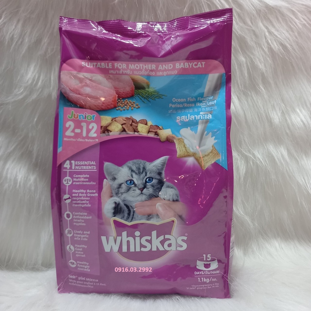 Thức ăn cho mèo bầu và mèo con Whiskas 1,1kg