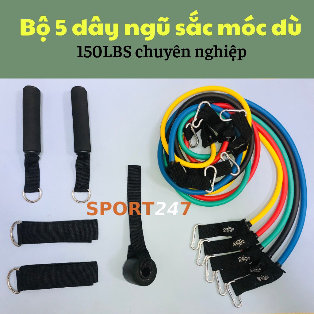 dây cao su ngũ sắc tập gym tại nhà đa năng siêu bền 247 SPORT