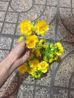 (1kg) hoa mai gắn lên cây trang trí