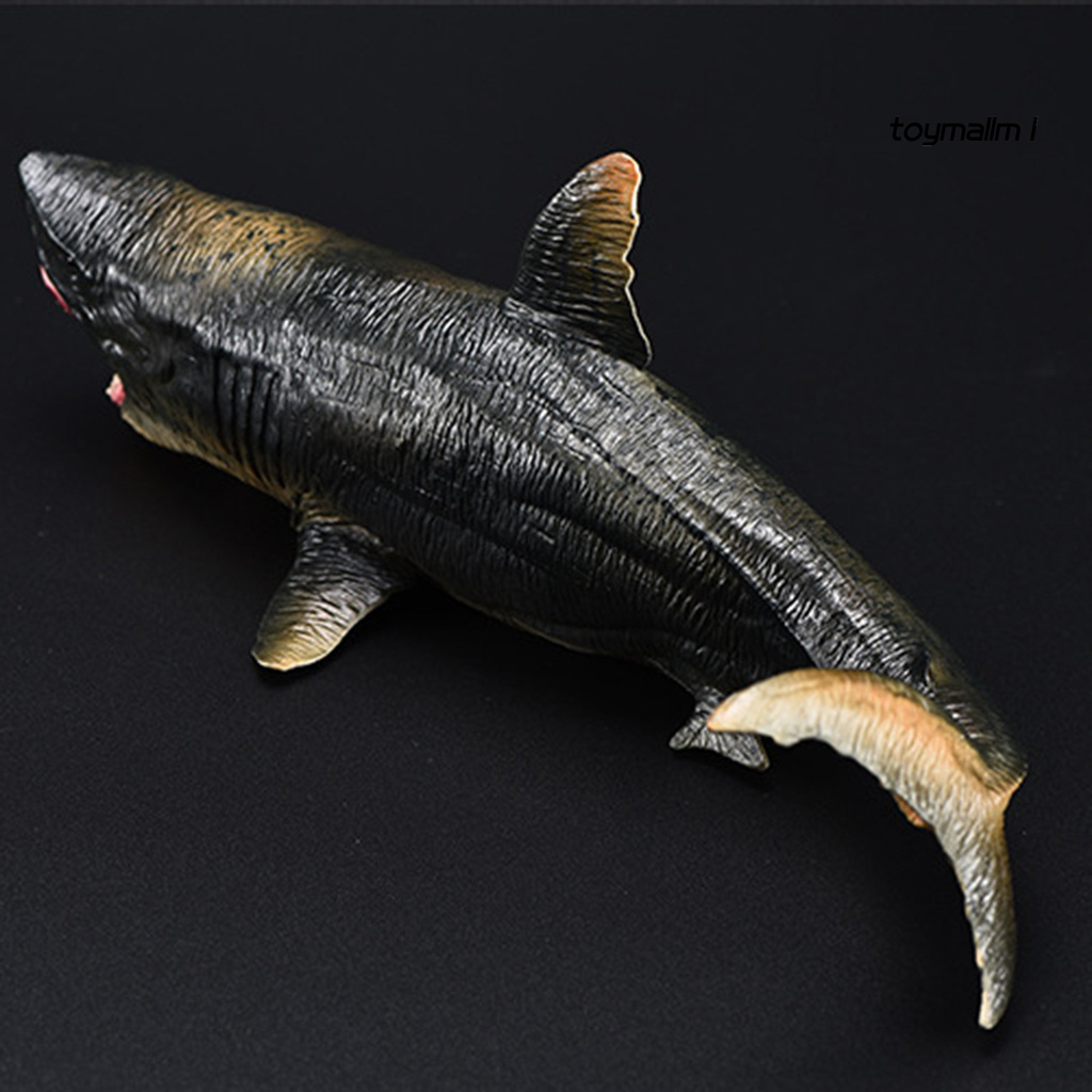 Mô Hình Cá Mập Megalodon Đồ Chơi Cho Bé