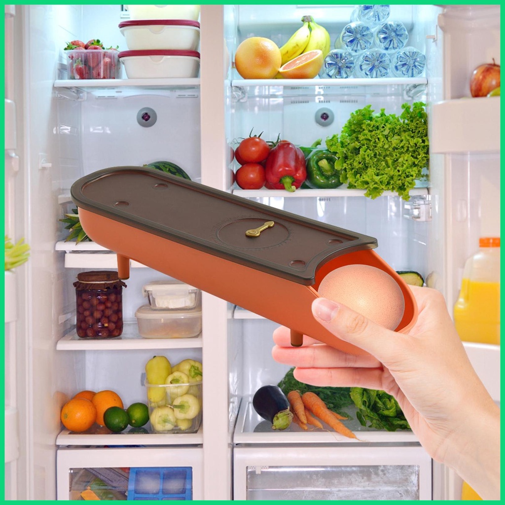 Hộp Đựng Trứng Cuộn Tự Động Thông Minh Cho Tủ Lạnh Jiwvnjiwvn