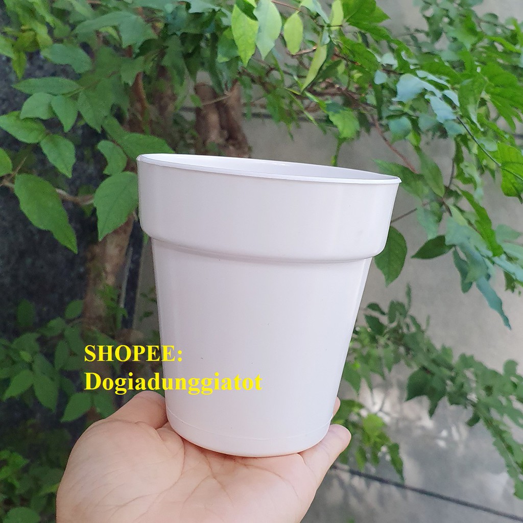 Bộ 10 chậu hoa hai tầng mini nhựa dày màu trắng trơn 10x11cm