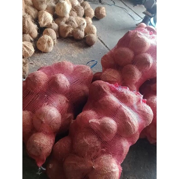 Dừa già khô trái to,vỏ mỏng ,cơm dày