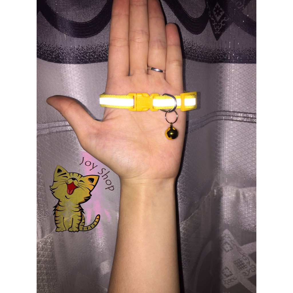 VÒNG CỔ DẠ QUANG CHO MÈO CƯNG