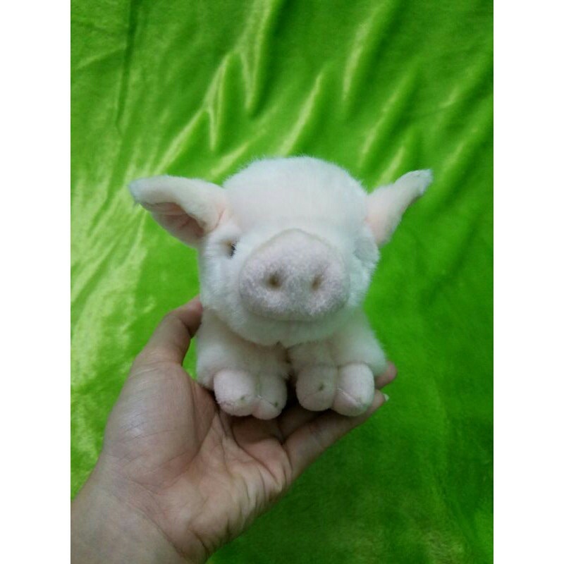 Gấu bông con heo chính hãng Miyoni Aurora  như thật