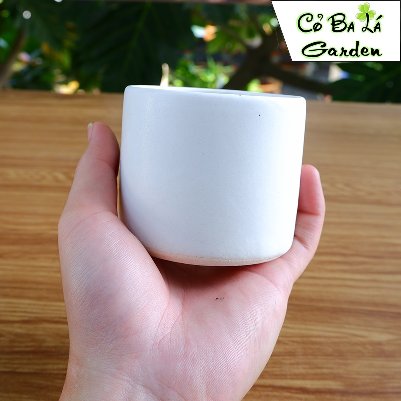 Chậu sứ trồng cây Hình Trụ mini 8x8 cm