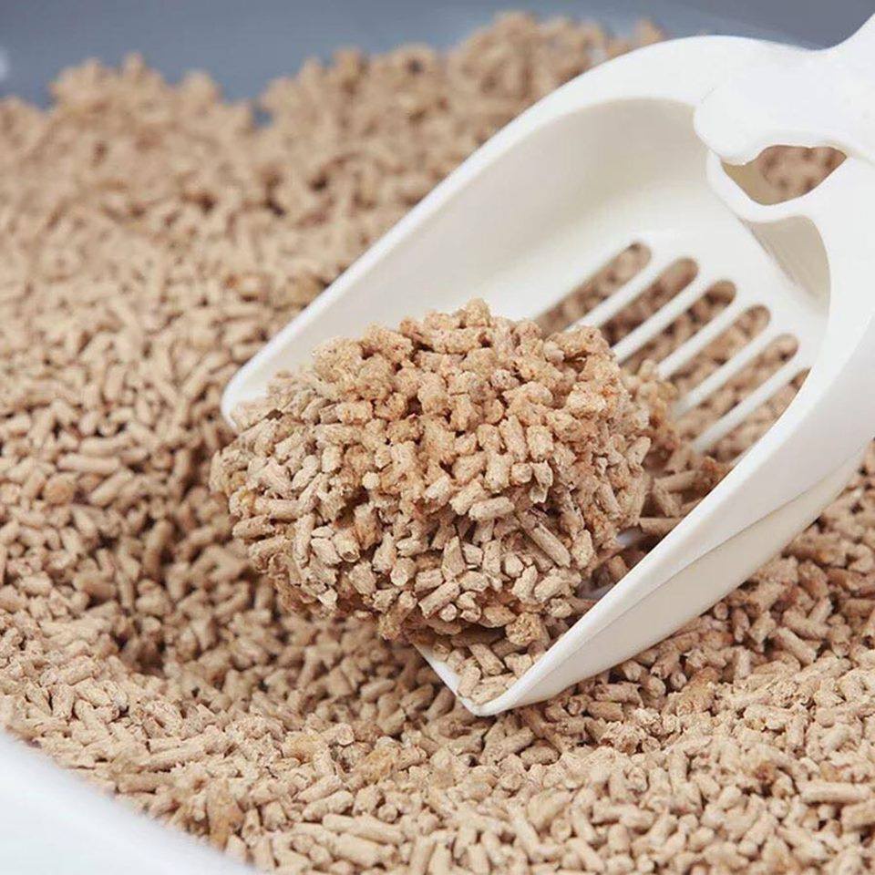 Cát gỗ Cature 20L - cát vệ sinh cho mèo xả được bồn cầu, thân thiện với môi trường