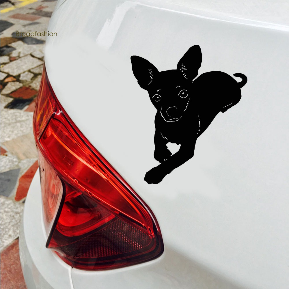 Sticker Dán Trang Trí Xe Hơi Hình Chó Chihuahua Đáng Yêu