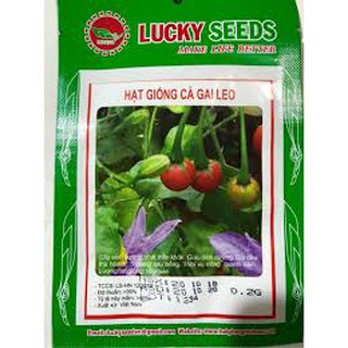 Hạt giống cây cà gai leo (0,2g)